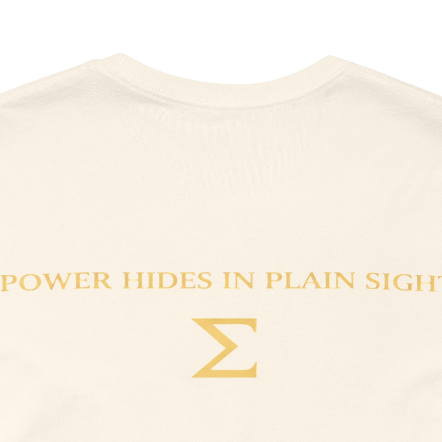 POWER IN PLAIN SIGHT